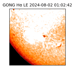 gong - 2024-08-02T01:02:42