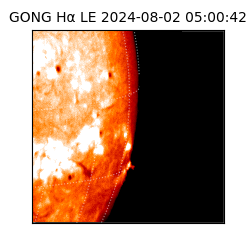 gong - 2024-08-02T05:00:42