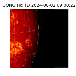 gong - 2024-08-02T09:00:22