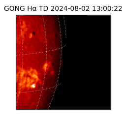 gong - 2024-08-02T13:00:22