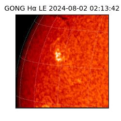 gong - 2024-08-02T02:13:42