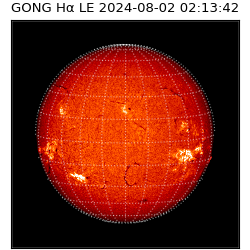 gong - 2024-08-02T02:13:42