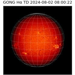 gong - 2024-08-02T08:00:22