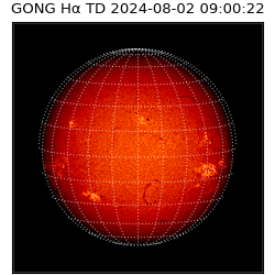 gong - 2024-08-02T09:00:22