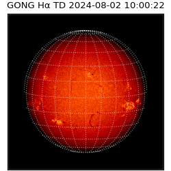 gong - 2024-08-02T10:00:22