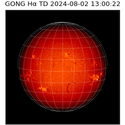 gong - 2024-08-02T13:00:22