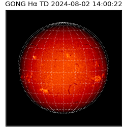 gong - 2024-08-02T14:00:22