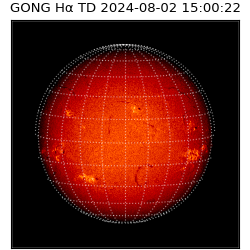 gong - 2024-08-02T15:00:22