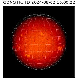 gong - 2024-08-02T16:00:22