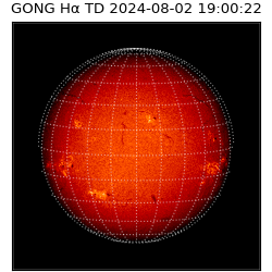 gong - 2024-08-02T19:00:22