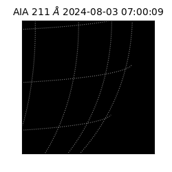 saia - 2024-08-03T07:00:09.626000