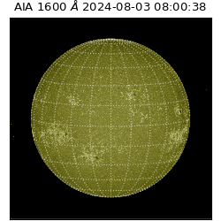 saia - 2024-08-03T08:00:38.125000