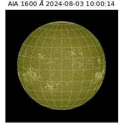 saia - 2024-08-03T10:00:14.118000