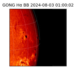 gong - 2024-08-03T01:00:02