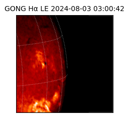 gong - 2024-08-03T03:00:42