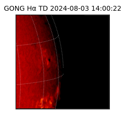 gong - 2024-08-03T14:00:22