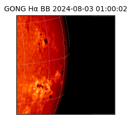 gong - 2024-08-03T01:00:02