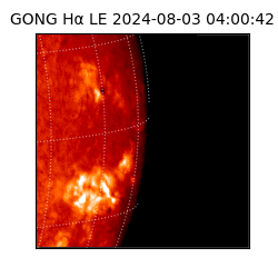 gong - 2024-08-03T04:00:42