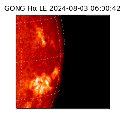 gong - 2024-08-03T06:00:42