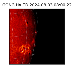 gong - 2024-08-03T08:00:22