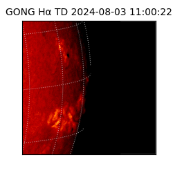 gong - 2024-08-03T11:00:22