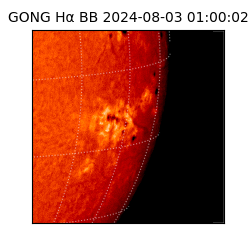 gong - 2024-08-03T01:00:02