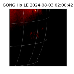 gong - 2024-08-03T02:00:42