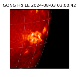 gong - 2024-08-03T03:00:42