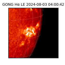 gong - 2024-08-03T04:00:42