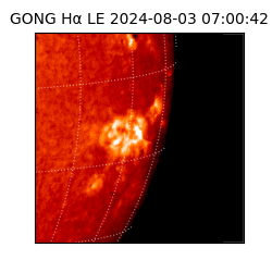 gong - 2024-08-03T07:00:42