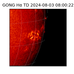 gong - 2024-08-03T08:00:22