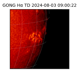 gong - 2024-08-03T09:00:22