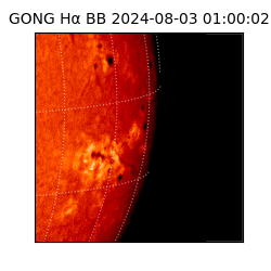 gong - 2024-08-03T01:00:02