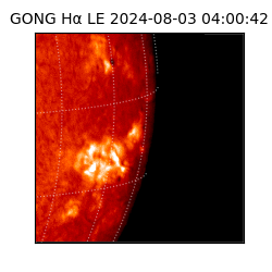 gong - 2024-08-03T04:00:42