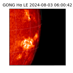 gong - 2024-08-03T06:00:42