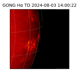 gong - 2024-08-03T14:00:22