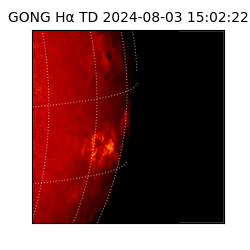 gong - 2024-08-03T15:02:22