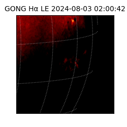 gong - 2024-08-03T02:00:42