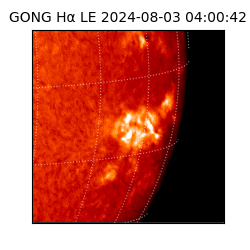 gong - 2024-08-03T04:00:42