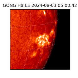 gong - 2024-08-03T05:00:42