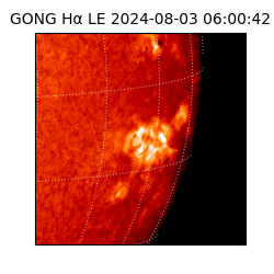 gong - 2024-08-03T06:00:42