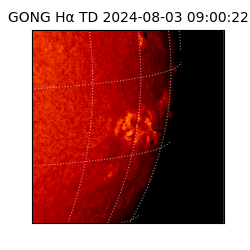 gong - 2024-08-03T09:00:22