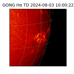 gong - 2024-08-03T10:00:22