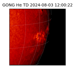 gong - 2024-08-03T12:00:22