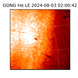 gong - 2024-08-03T02:00:42