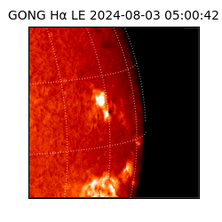 gong - 2024-08-03T05:00:42