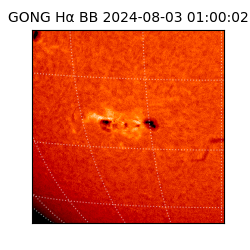 gong - 2024-08-03T01:00:02