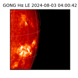 gong - 2024-08-03T04:00:42