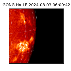 gong - 2024-08-03T06:00:42