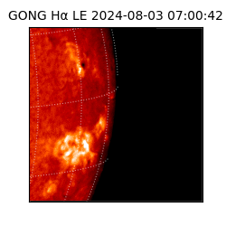 gong - 2024-08-03T07:00:42